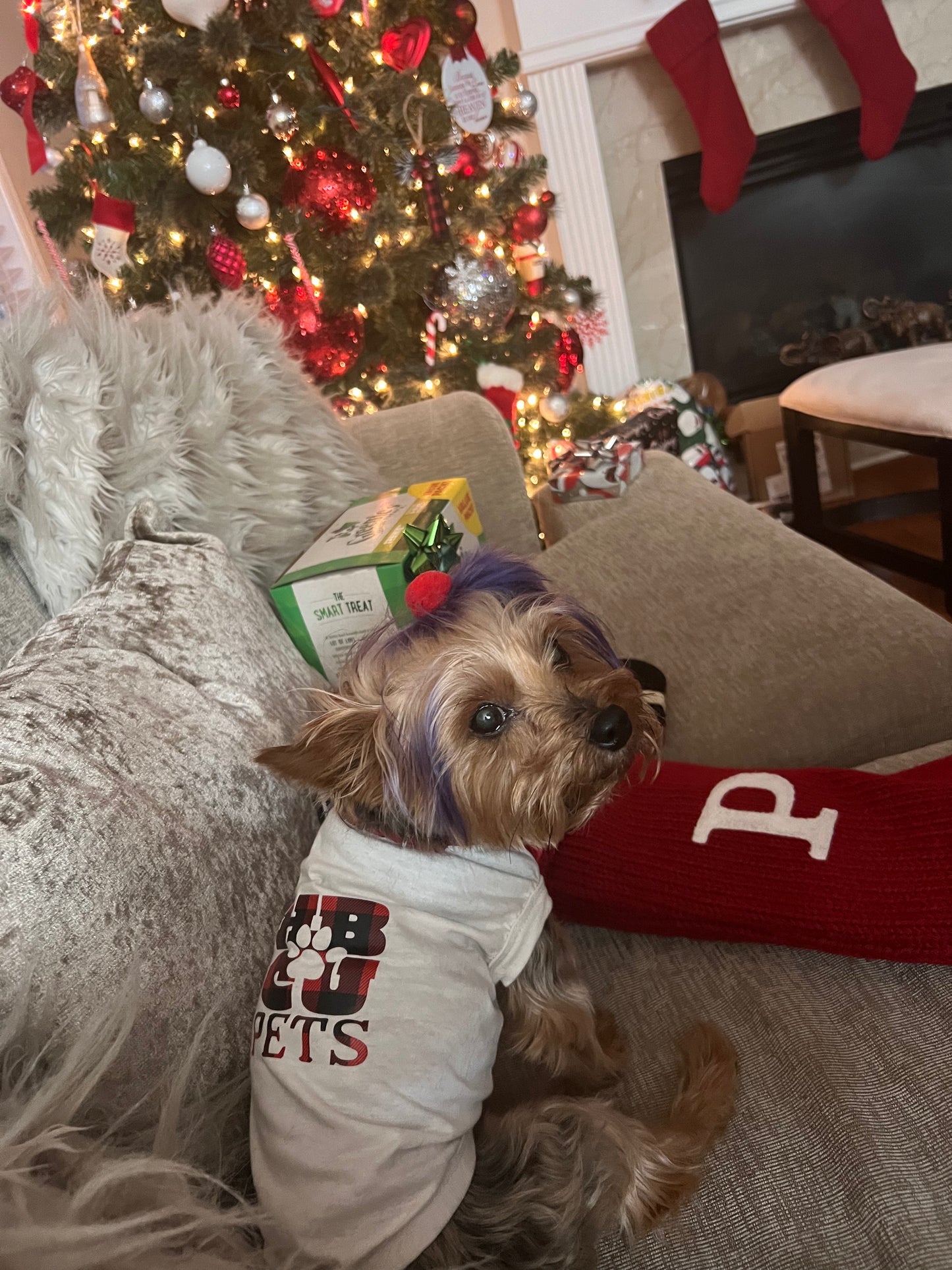 Limited Edition: HBCU Pets Holiday Buffalo Plaid-Red